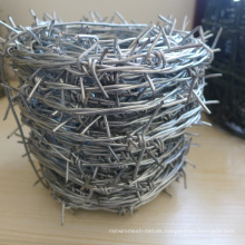 Hot-Dipped/Electric Galvanized Barbed Wire